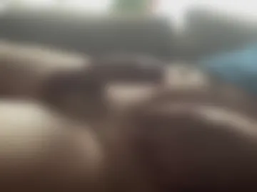 willamateur live webcam preview