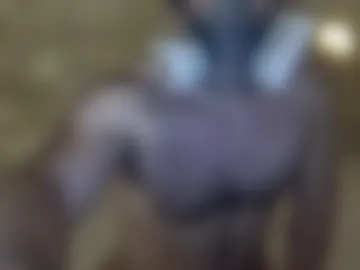 willbe21984 live webcam preview