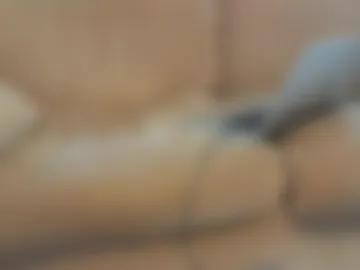 williamandmary webcam preview