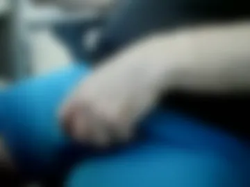williesback live webcam preview