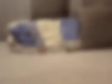 willingwillwet photo 8