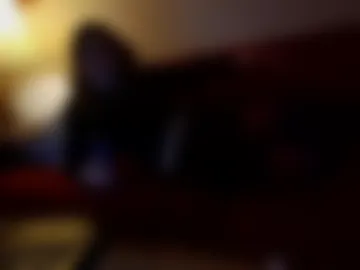 willyguy87 live webcam preview