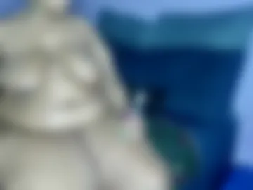 wilmaassylum photo 5