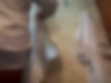 witebull83 live webcam preview