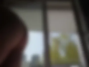 wixyger live webcam preview