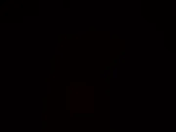 wnturcat photo 2