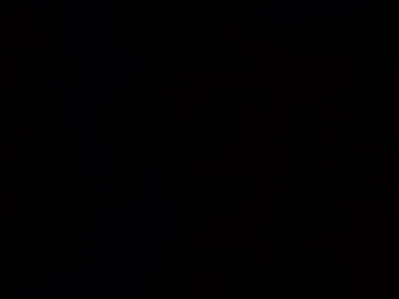 wnturcat photo 4