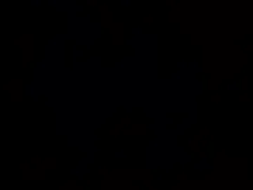 wnturcat photo 2