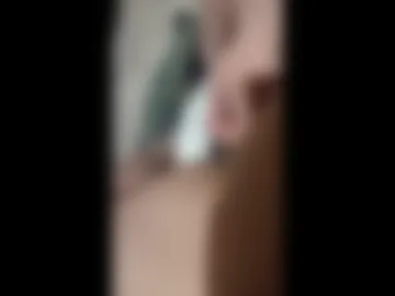 wojcikowski87 live webcam preview