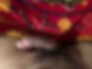 wolf_uu live webcam preview