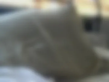 woof_wolf37 webcam preview