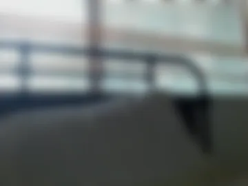 woof_wolf37 photo 4