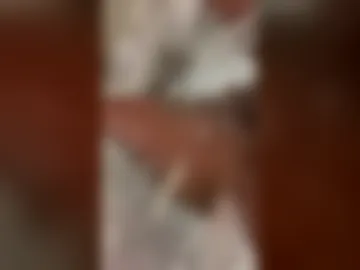 ww9352 live webcam preview