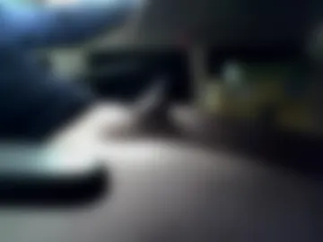 xfreecock88x live webcam preview