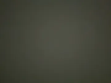xgraoul live webcam preview