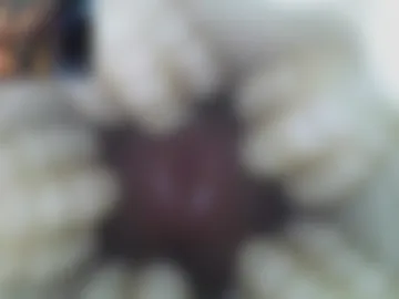 xoxowtf webcam preview