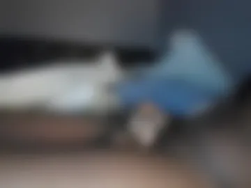 xqbbcqx live webcam preview