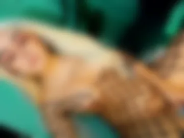 xxcumcatcherxx live webcam preview