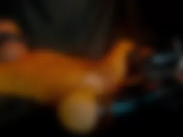 xxhardxxslippery photo 2