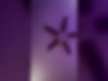 xxlartist photo 3