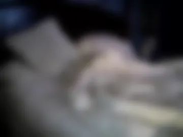 xxverabbyxx webcam preview
