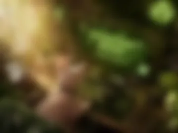 xxx_rays live webcam preview