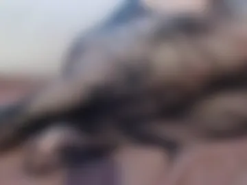 yeah_perhaps photo 2