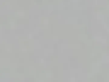 yellowsnakes photo 7