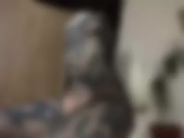 yexes webcam preview