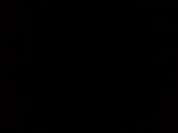 yinyangmask live webcam preview