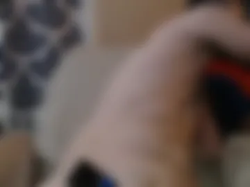 yourneighborhoodfriendlydick live webcam preview