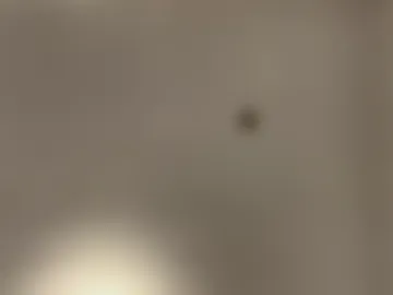 yourpapisito photo 4