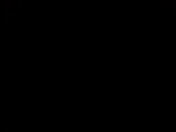 yourpapisito webcam preview