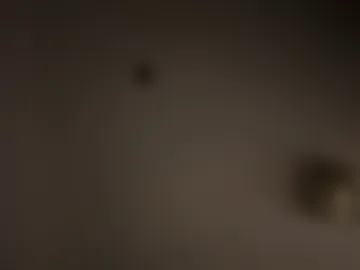 yourpapisito photo 3