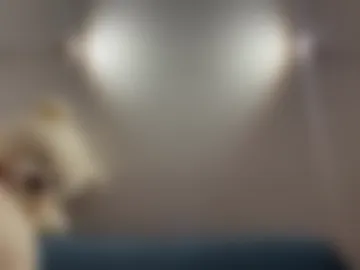 yummycitrus webcam preview