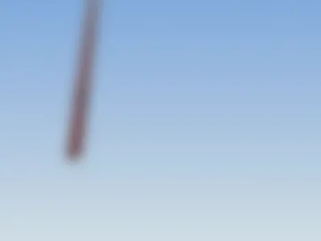 z_oepeaches webcam preview