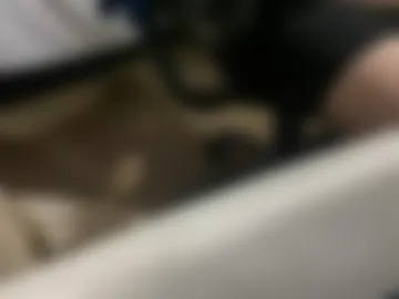 zanaximandro live webcam preview