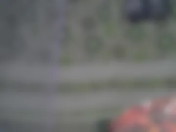 zarinamarlin photo 2