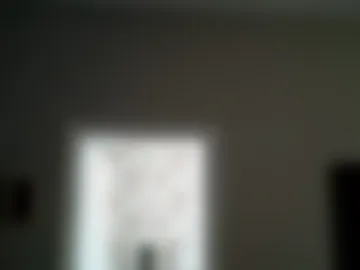 zarinaswift webcam preview