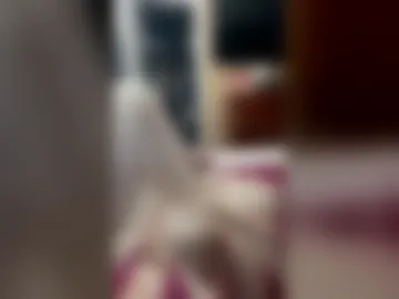 zavalaerlin748 live webcam preview
