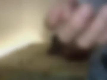 zeldaxlink_xxx webcam preview
