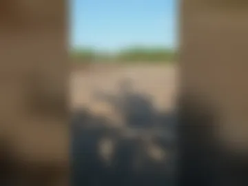 zimphira live webcam preview