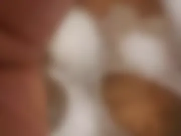 zooted12 photo 8