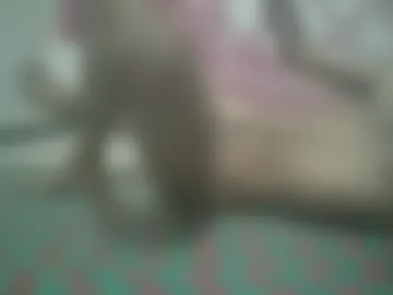 zorbhacam webcam preview