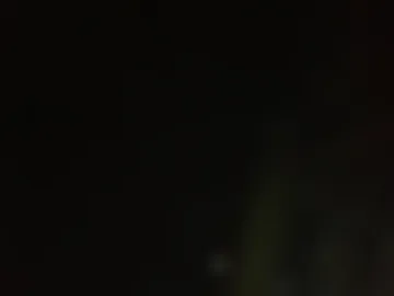 zoro_nico live webcam preview
