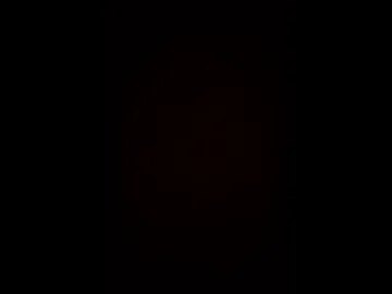 zoroex1 live webcam preview
