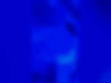 zrchxxxs live webcam preview